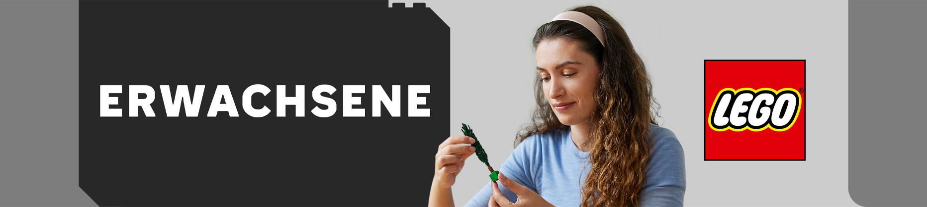 lego für erwachsene